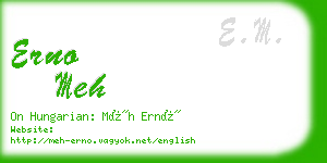 erno meh business card